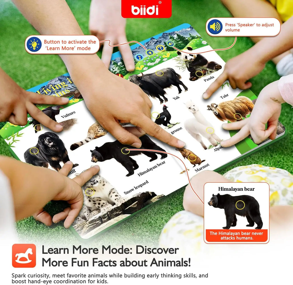 Interactive Audio Sound Animal Talking Book