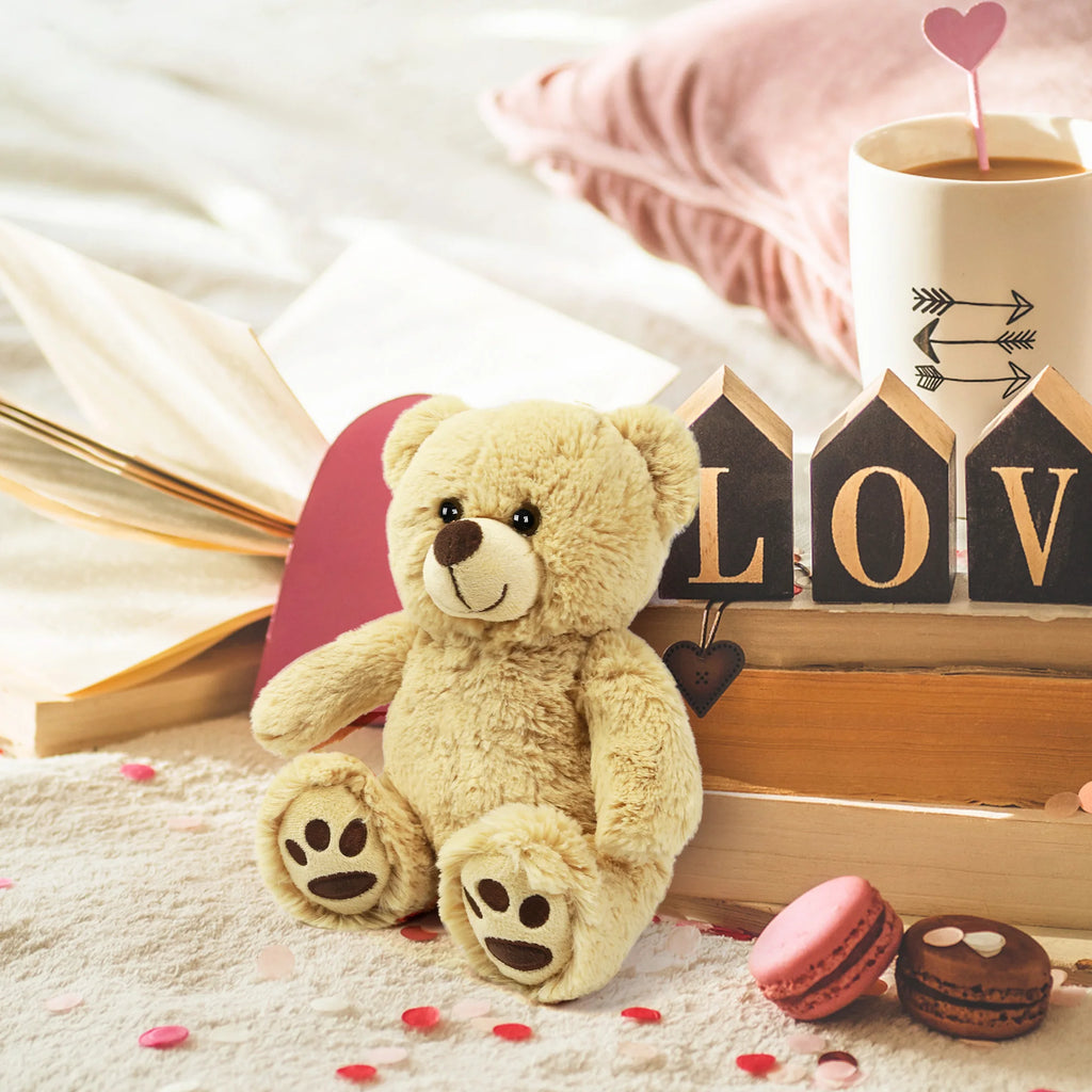 Plush Teddy Bear