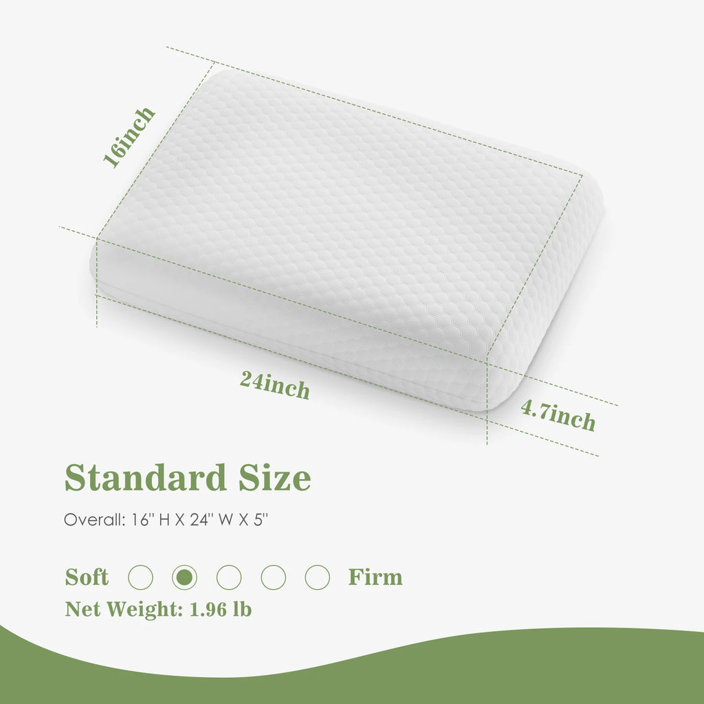 2-pieces Standard Memory Foam Pillows