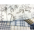 Cute Dinosaur Plaid Reversible Bedspread Set