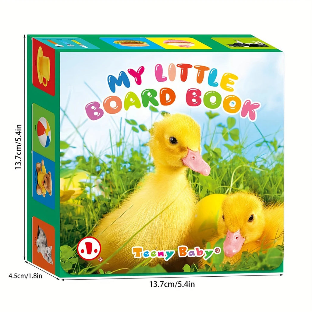 6PCS Educational Learning Books