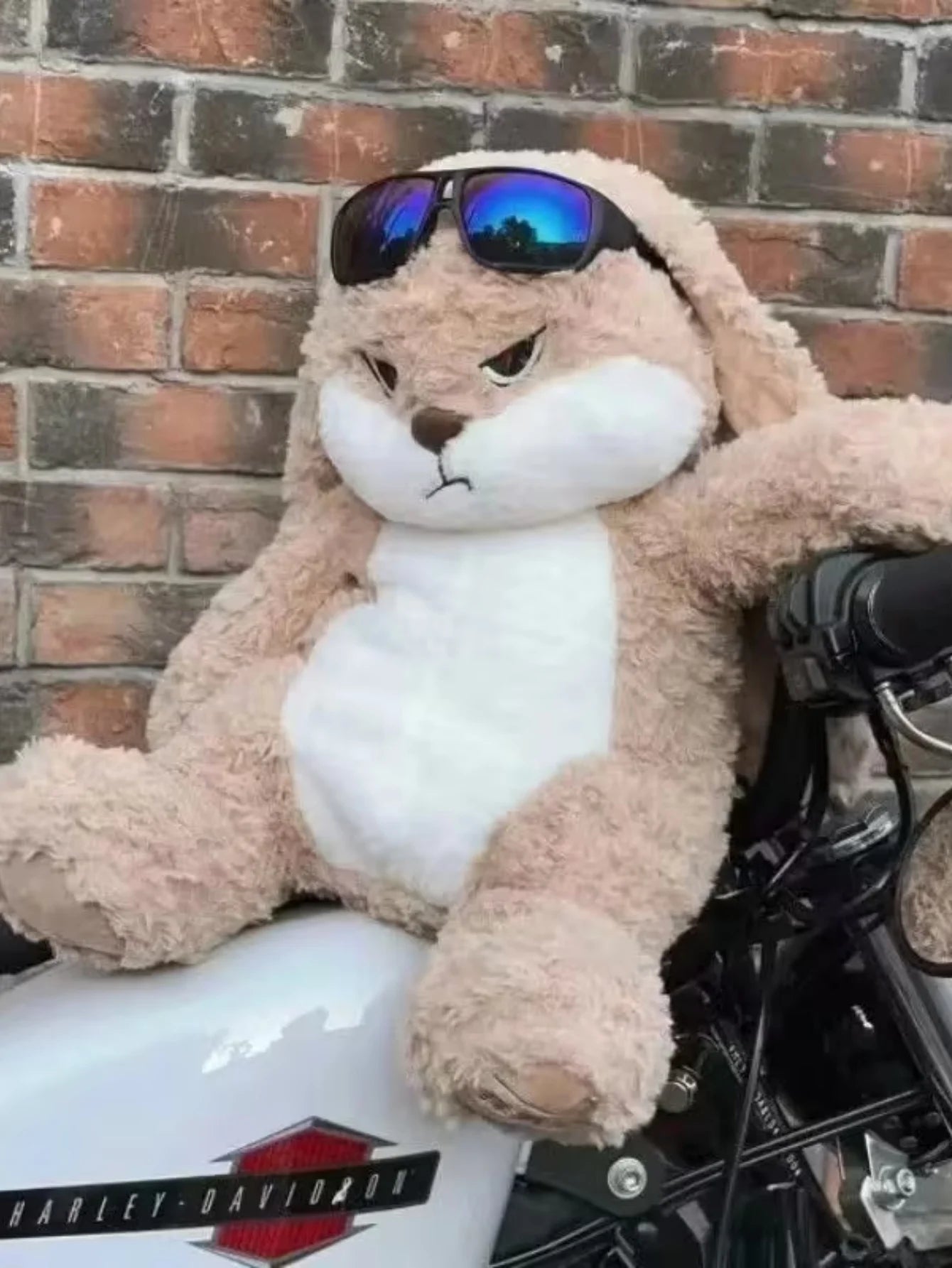 11.8 Inch Grumpy Bunny Plush |