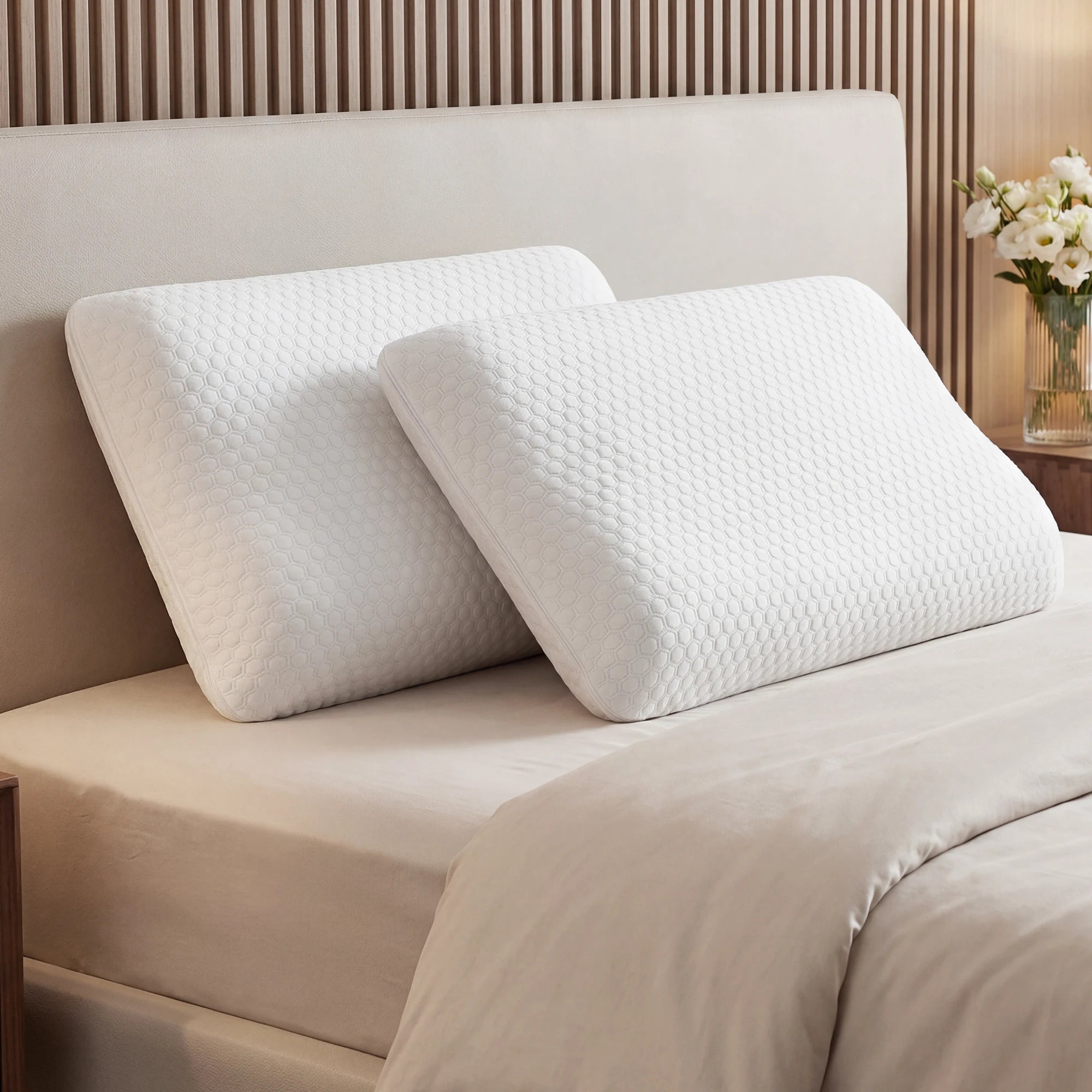 2-pieces Standard Memory Foam Pillows