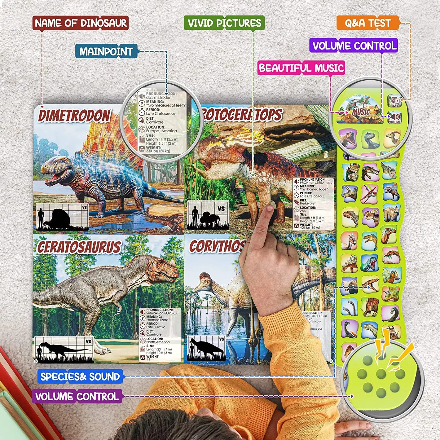 Interactive Dinosaur Book with Realistic Sounds
