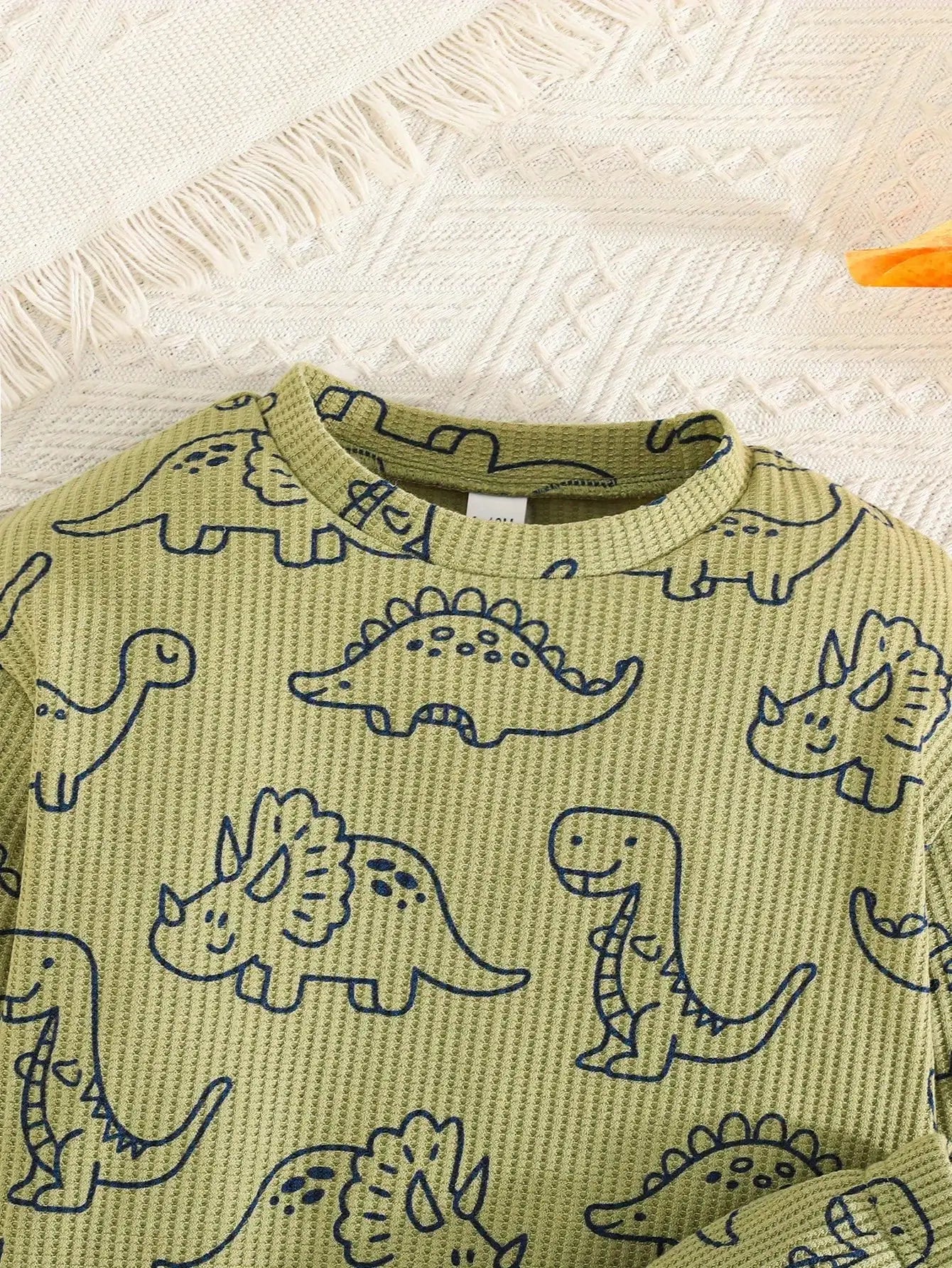 Toddler Boy's Dinosaur Outfits