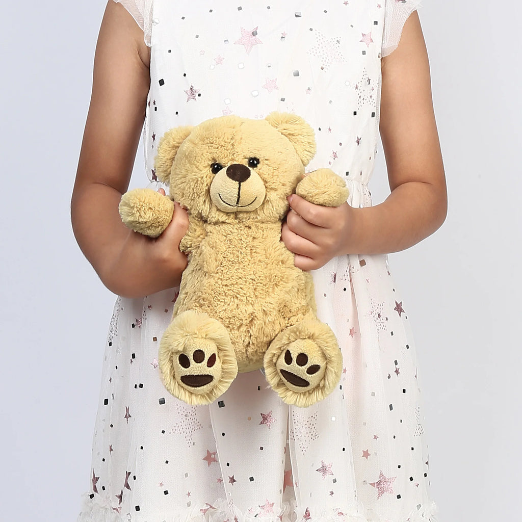 Plush Teddy Bear