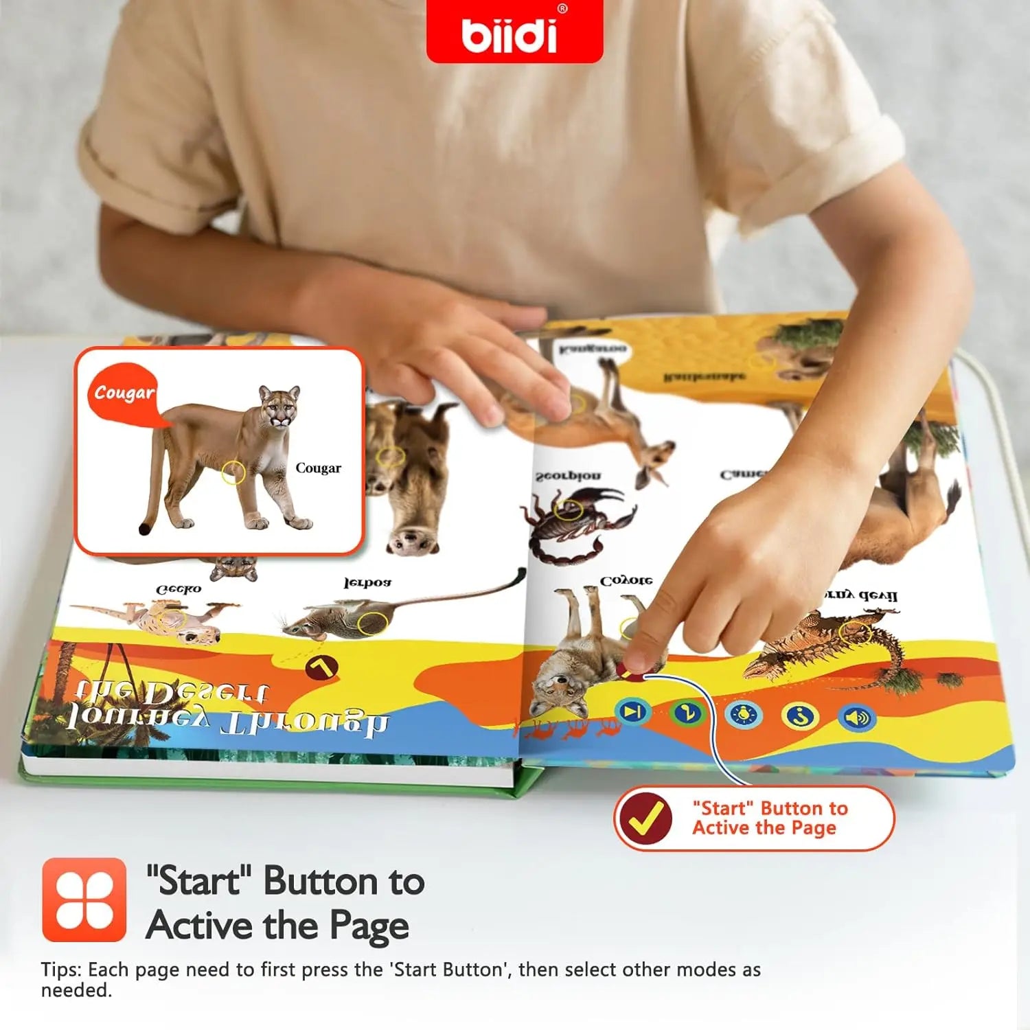 Interactive Audio Sound Animal Talking Book