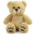 Plush Teddy Bear