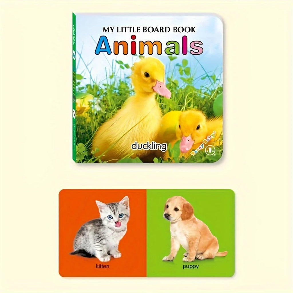 6PCS Educational Learning Books