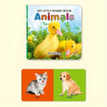 6PCS Educational Learning Books