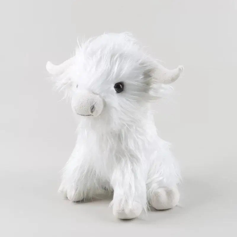Highland Cow