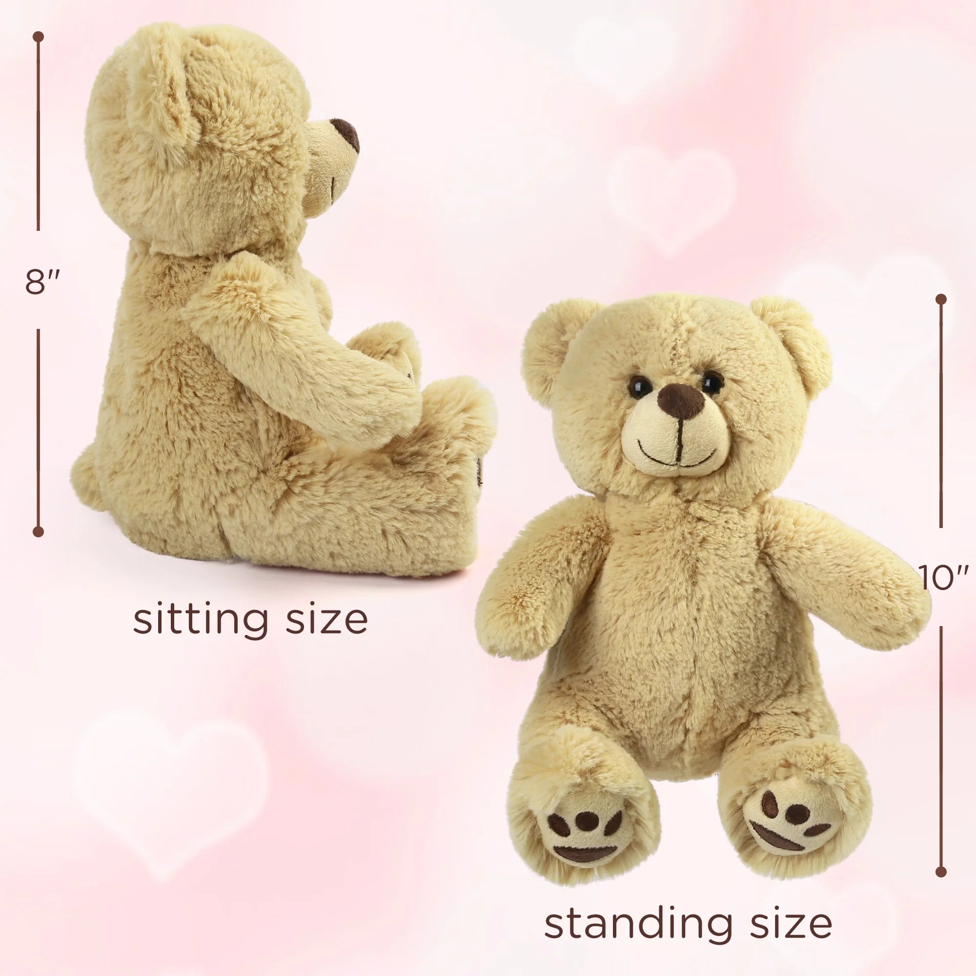 Plush Teddy Bear
