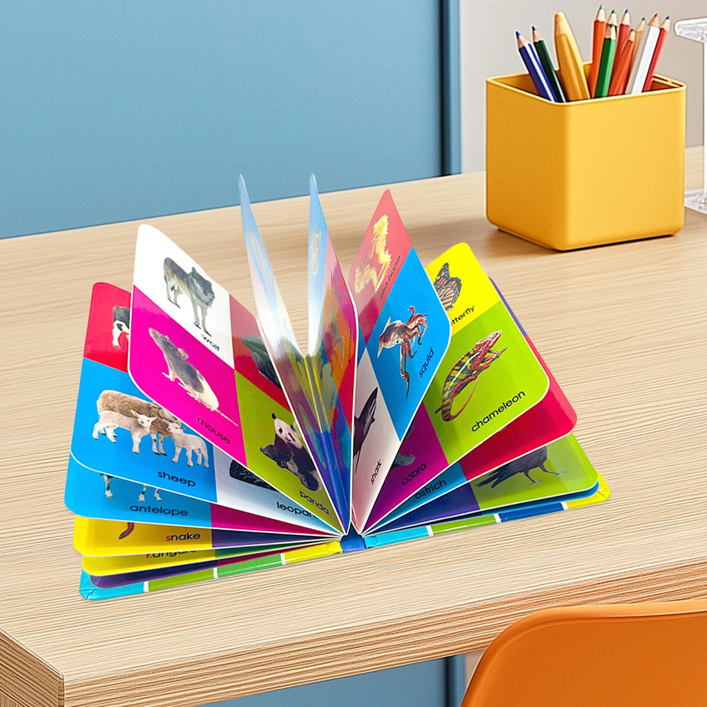 4 Learning Board Books