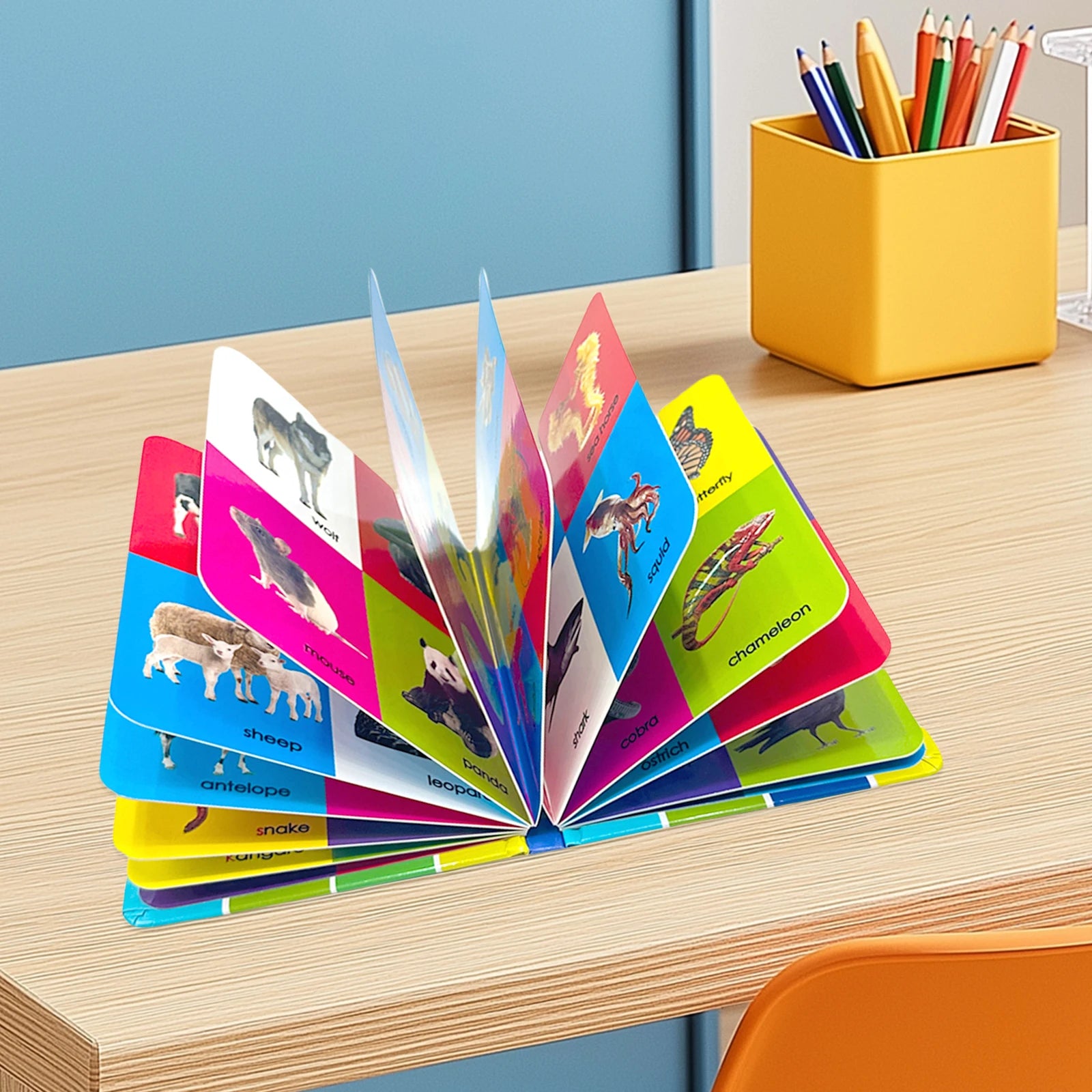4 Learning Board Books