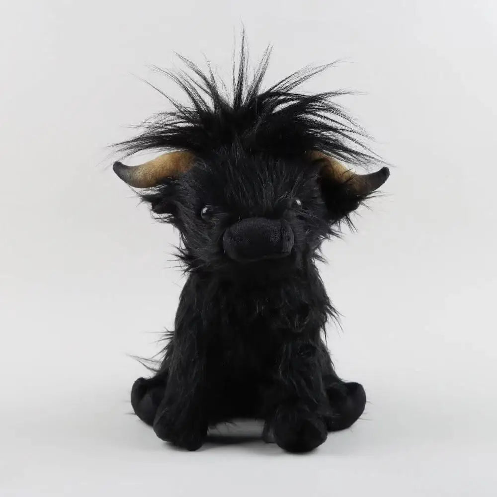 Highland Cow